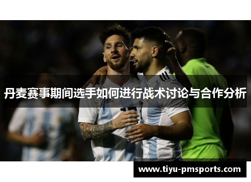 丹麦赛事期间选手如何进行战术讨论与合作分析