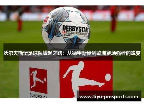 沃尔夫斯堡足球队崛起之路：从德甲新贵到欧洲赛场强者的蜕变